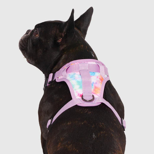 Canada Pooch Everything (Tie Dye) No-Pull Harness for Dogs