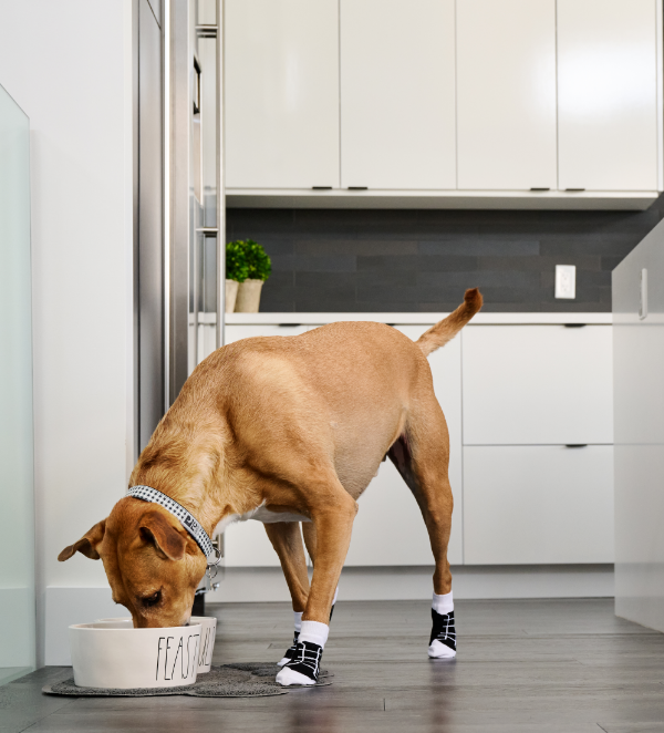 RC Pets Fun Pawks Mary Jane Booties
