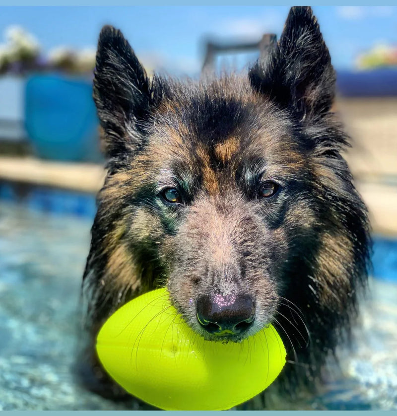 Spunky Pup Squeak & Glow Football for dogs