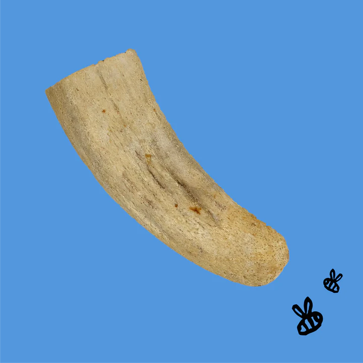 Buffalo Honey Horn Core- chew for dogs