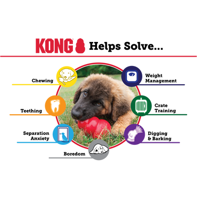 Kong Puppy Chew Toy for Dogs