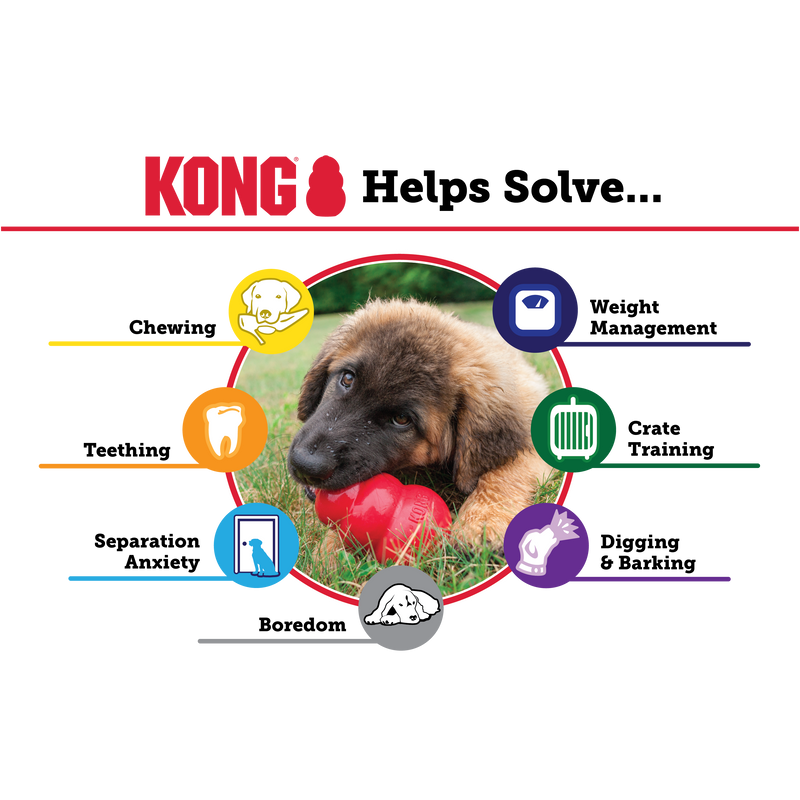 Kong Puppy Chew Toy for Dogs