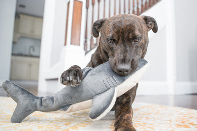 Fluff & Tuff Mac the Shark Plush Toy for Dogs