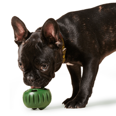 WOOF Pupsicle Interactive Dog Toy