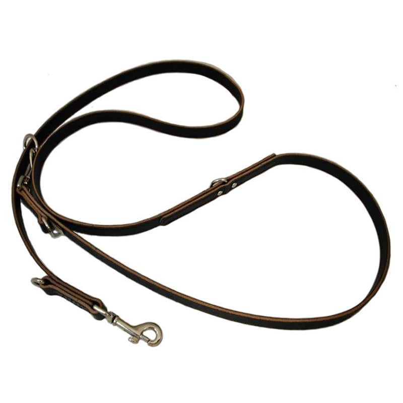 Multi-Function All Weather Dog Leash 6 ft.