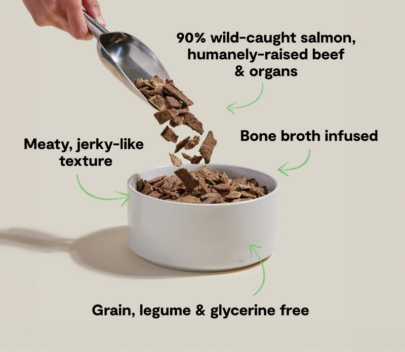 Natural air-dried salmon and beef dog food with bone broth, fruits, and vegetables