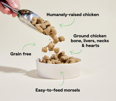 Open Farm Harvest Chicken Freeze Dried Morsels for Dogs