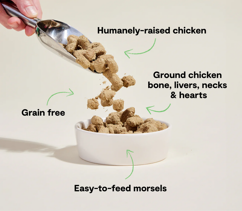 Open Farm Harvest Chicken Freeze Dried Morsels for Dogs
