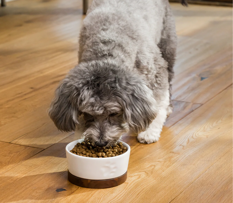 Complete and balanced venison dog food with pumpkin, sweet potato, fruits, and veggies
