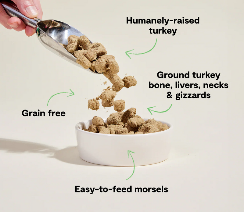 Open Farm Freeze-Dried Raw Homestead Turkey Morsels for Dogs