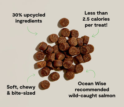 Be Good Bites Wild-Caught Salmon Recipe  Dog Treats