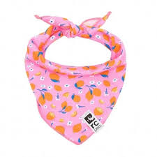 RC Pets Zephyr Cooling Bandanas for Dogs