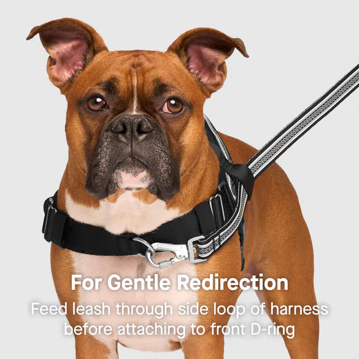 Canada Pooch ReDirect Harness