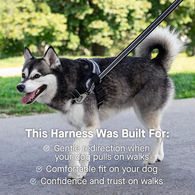 Canada Pooch ReDirect Harness