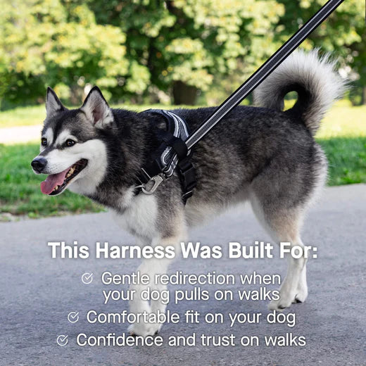 Canada Pooch ReDirect Harness