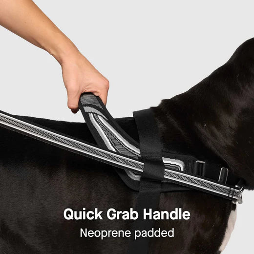 Canada Pooch ReDirect Harness