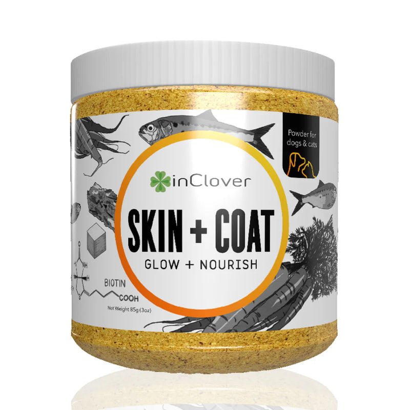 In Clover Skin & Coat Powder for Dogs