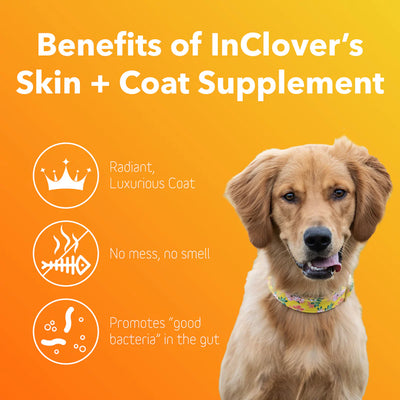 In Clover Skin & Coat Powder for Dogs