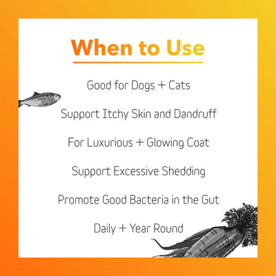 In Clover Skin & Coat Powder for Dogs
