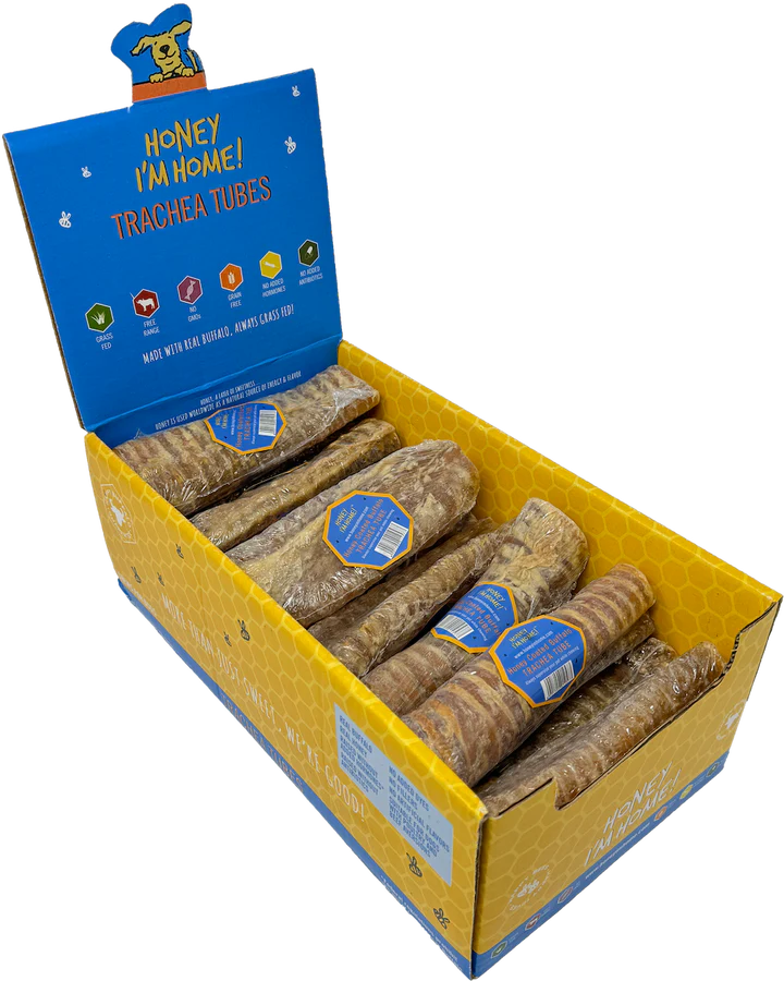 Honey Buffalo Trachea (6 inch) Chew for Dogs
