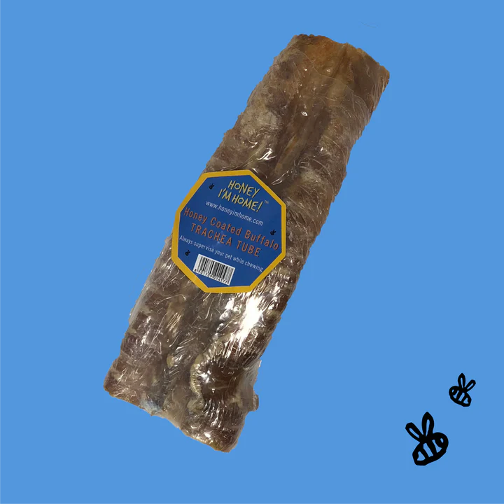 Honey Buffalo Trachea (6 inch) Chew for Dogs