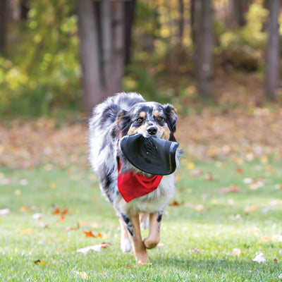 KONG Extreme Flyer Frisbee for Dogs