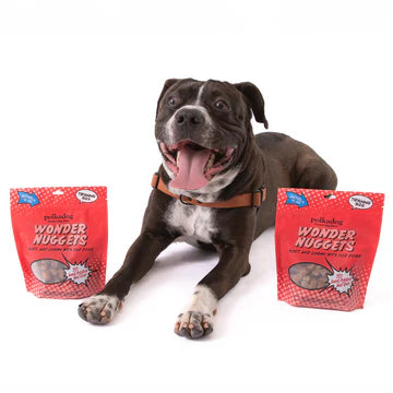 PolkaDog Wonder Nuggets Training Treats for Dogs - Sweet Potato & Beef