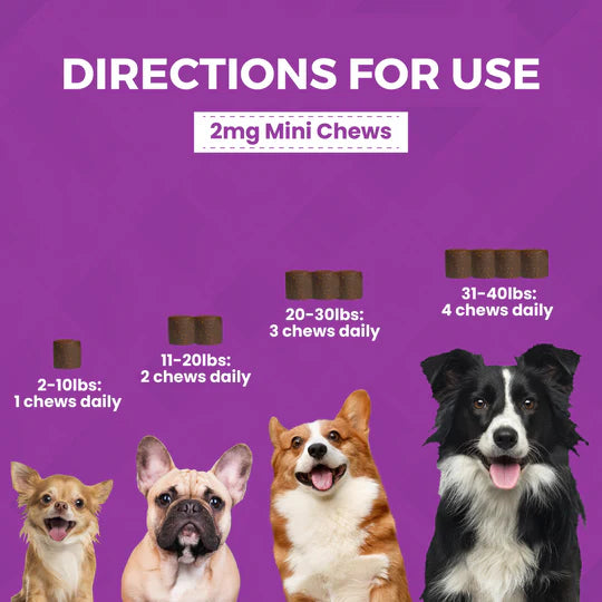 Progility Calming MINIS (Soft Chews) for Dogs 60 count