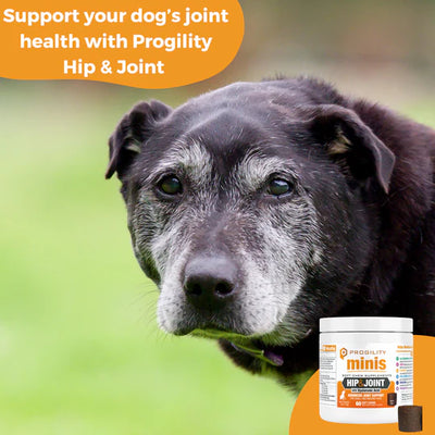 Progility Hip & Joint Support  MINIS (Soft Chews) for Dogs 60 count