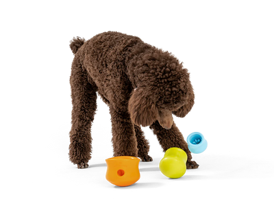 Toppl Puzzle & Interactive Play Dog Toy