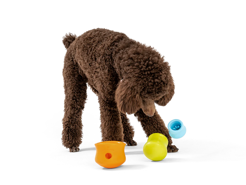 Toppl Puzzle & Interactive Play Dog Toy