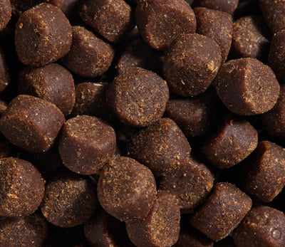 Be Good Bites Wild-Caught Salmon Recipe  Dog Treats