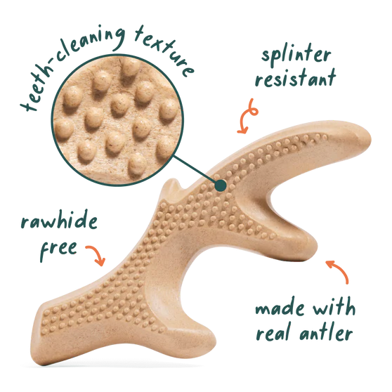 Woof Honestchew Bone Beef Flavored