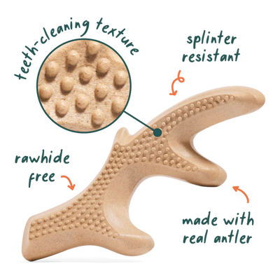 Woof Honestchew Antler Bone