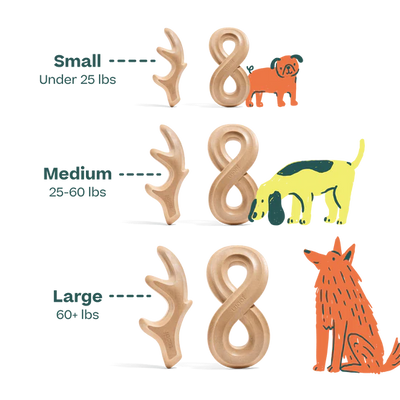 Woof Honestchew Bone Beef Flavored