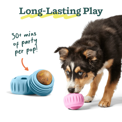 Woof Pupsicle Party Pops