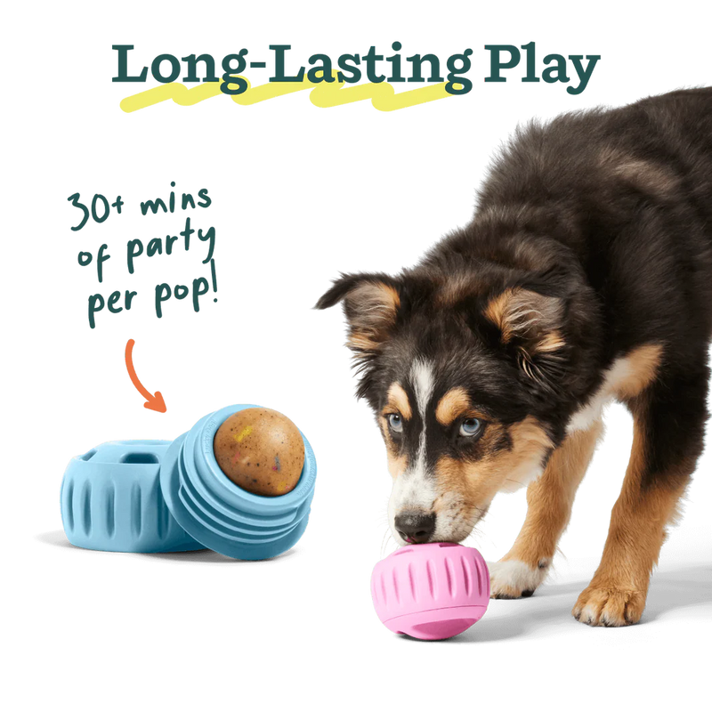 Woof Pupsicle Party Pops