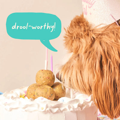 Woof Pupsicle Party Pops