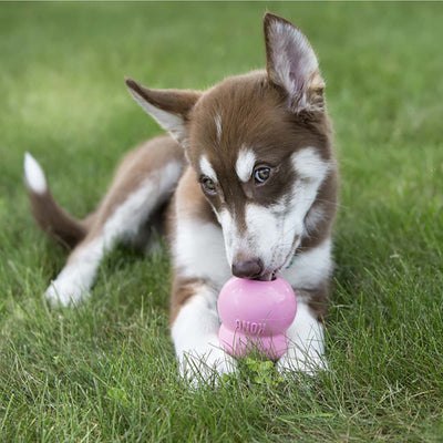 Kong Puppy Chew Toy for Dogs