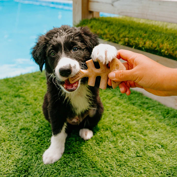 Benebone 2-Pack Fishbone Chew for Puppy