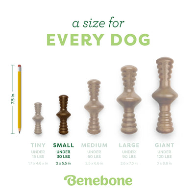 Benebone Zaggler