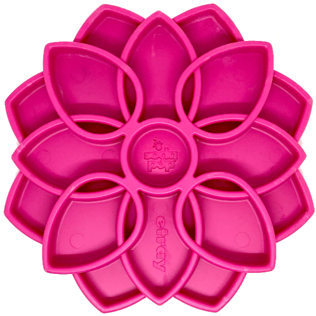 SodaPup Mandala Feeder