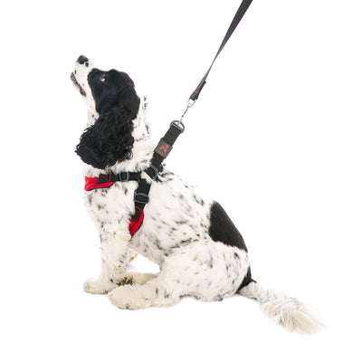 Gooby Escape Free Sport Harness for Dogs