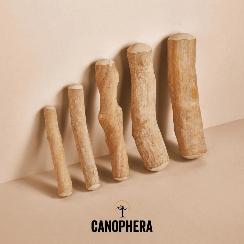 Canophera Coffee Wood Chew for dogs