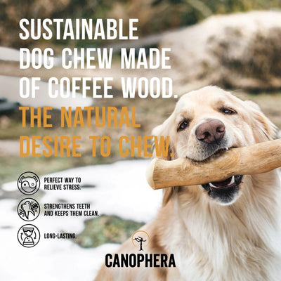 Canophera Coffee Wood Chew for dogs