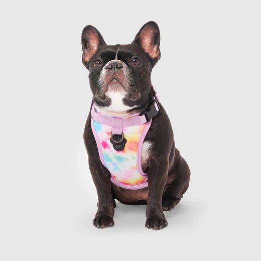 Canada Pooch Everything (Tie Dye) No-Pull Harness for Dogs