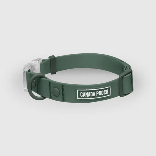 Canada Pooch Waterproof Collar Forest Green