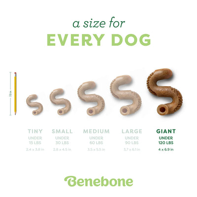 Benebone Dental Tripe Bone Chew for Dogs