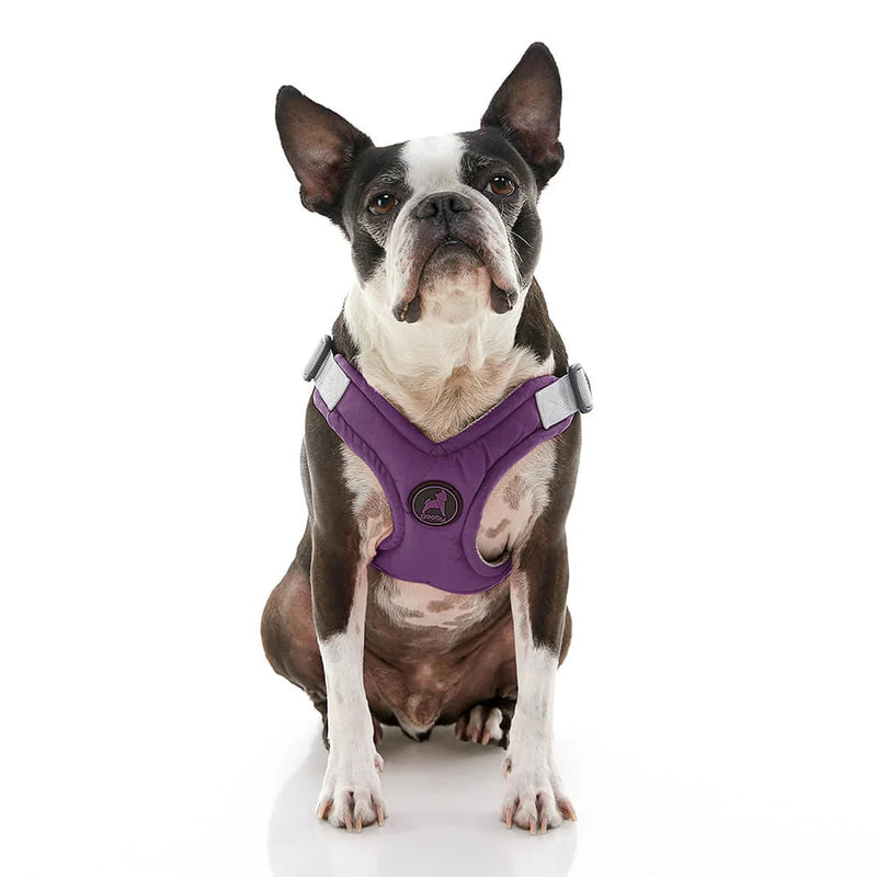 Gooby Memory Foam Step in Harness Purple