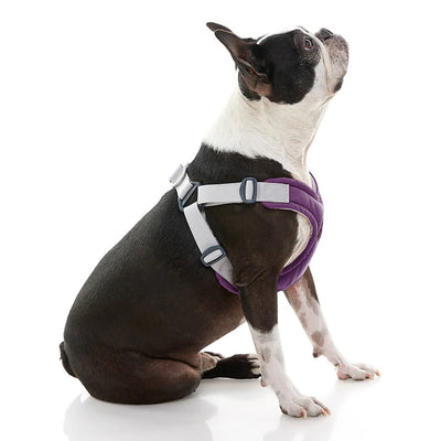 Gooby Memory Foam Step in Harness Purple